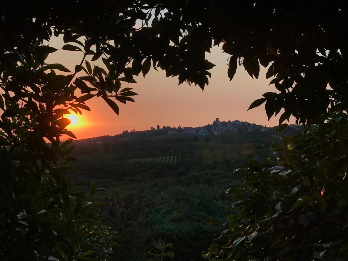 Villa Bricco Dei Cogni La Morra Exterior foto