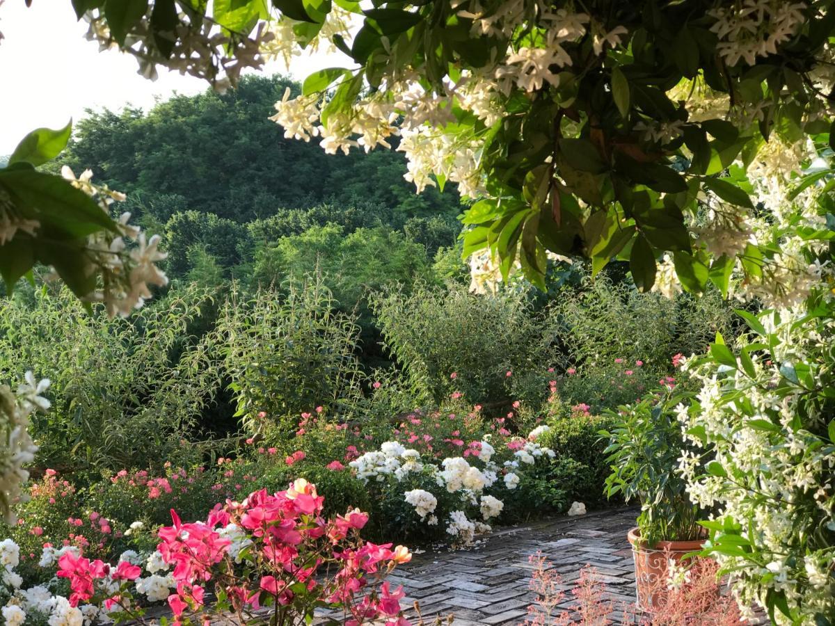 Villa Bricco Dei Cogni La Morra Exterior foto