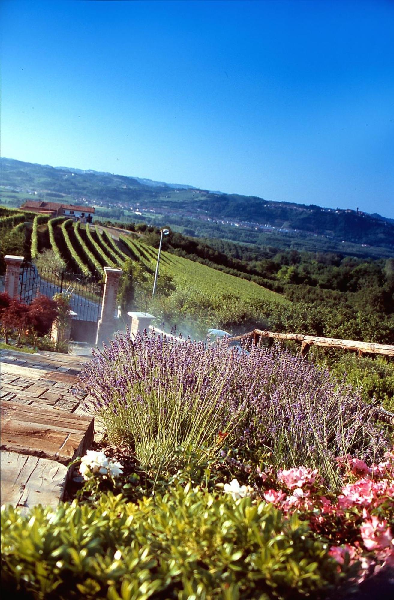 Villa Bricco Dei Cogni La Morra Exterior foto